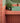 Tunstall Flitted Brick Coral