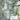 Woodland Glade Porcelain