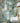 Woodland Glade Porcelain